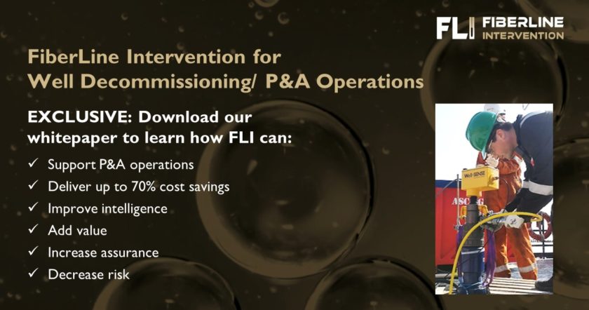 FiberLine Intervention for P&A planning and operations - part 3