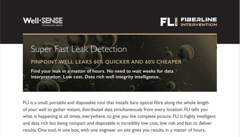 Leak Detection Application Brochure